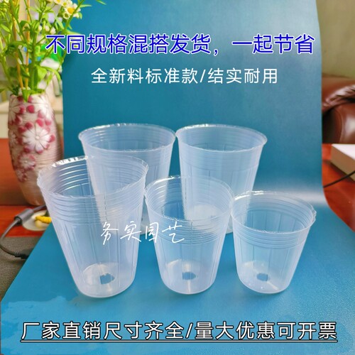 透明营养杯育苗杯石斛兰专用盆多肉育苗盆蝴蝶兰营养杯白色营养钵