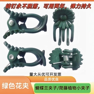 绿色兰花夹子蝴蝶兰专用小夹子支撑杆夹子月季花爬藤植物固定夹子