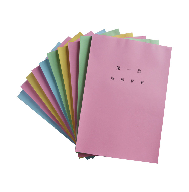 50套干部档案盒人事系列配履历十大彩分类纸分类纸十大类纸隔页纸