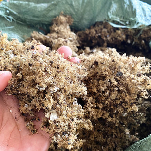 六鳌北北 小石花草海石花石花膏洋菜膏石花冻四果汤原料50g