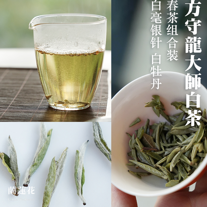方守龙白毫银针白牡丹