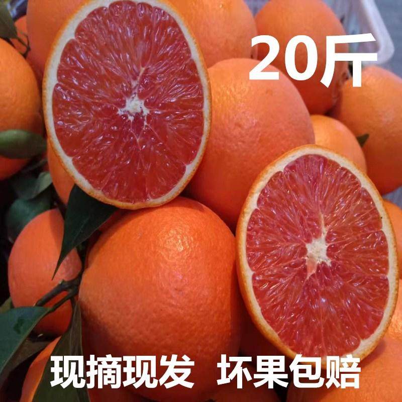 重庆血橙新鲜水果10斤红心甜橙子现摘带叶奉节产地直发,水产肉类/新鲜蔬果/熟食,橙,淘宝优惠券,粉丝福利购,淘宝优惠卷