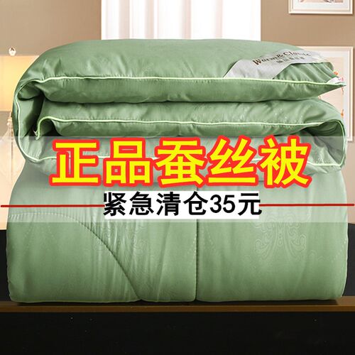 蚕丝棉被空调被芯夏季夏凉被双人春秋被子单人宿舍冬被芯加厚保暖