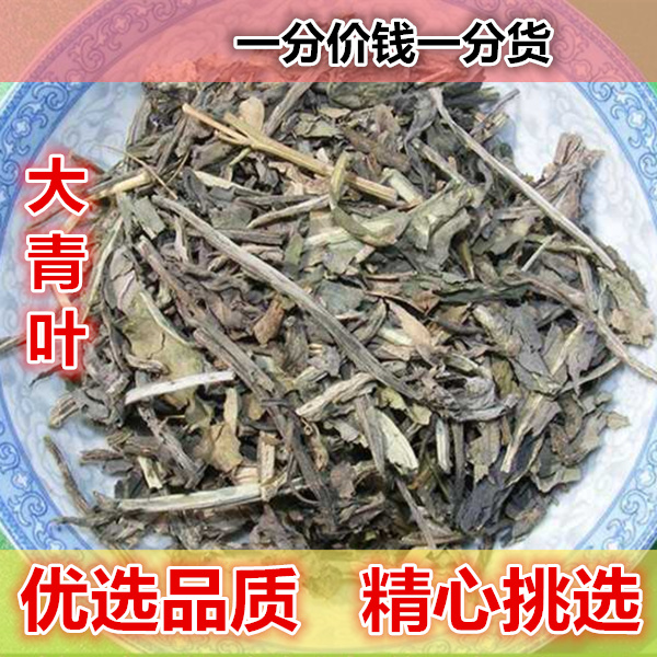 正宗 大青叶 500g 板蓝根叶子 大青叶茶 新鲜干货非野生中药材粉