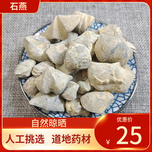 中药材 石燕子 500g 石燕 燕子石水飞石燕 石燕
