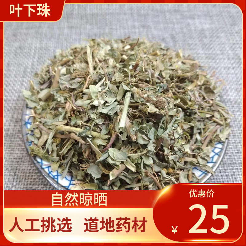 中药材叶下珠 500g野生珍珠草叶下珠珠仔草龙珠草珍珠草