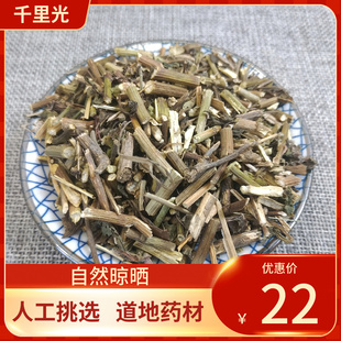 中药材 千里光 500g 千里光别称:九里明 九里光 新鲜干货