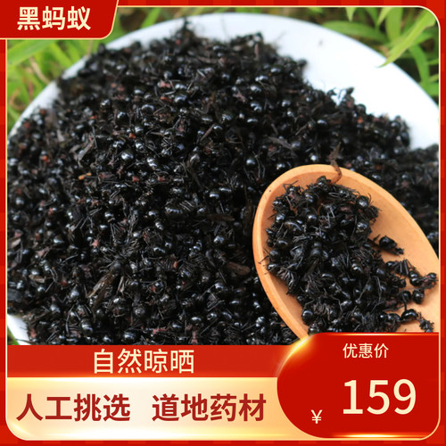 中药材 蚂蚁 黑蚂蚁干500g养生泡酒大黑蚂蚁干