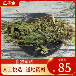 正宗中药材  瓜子金 250g 瓜子金草 瓜子金干 辰砂草中草药