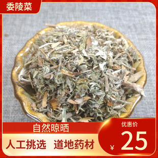 中药材  委陵菜 500g 蛇含草 蛇衔 紫背草 新鲜干货