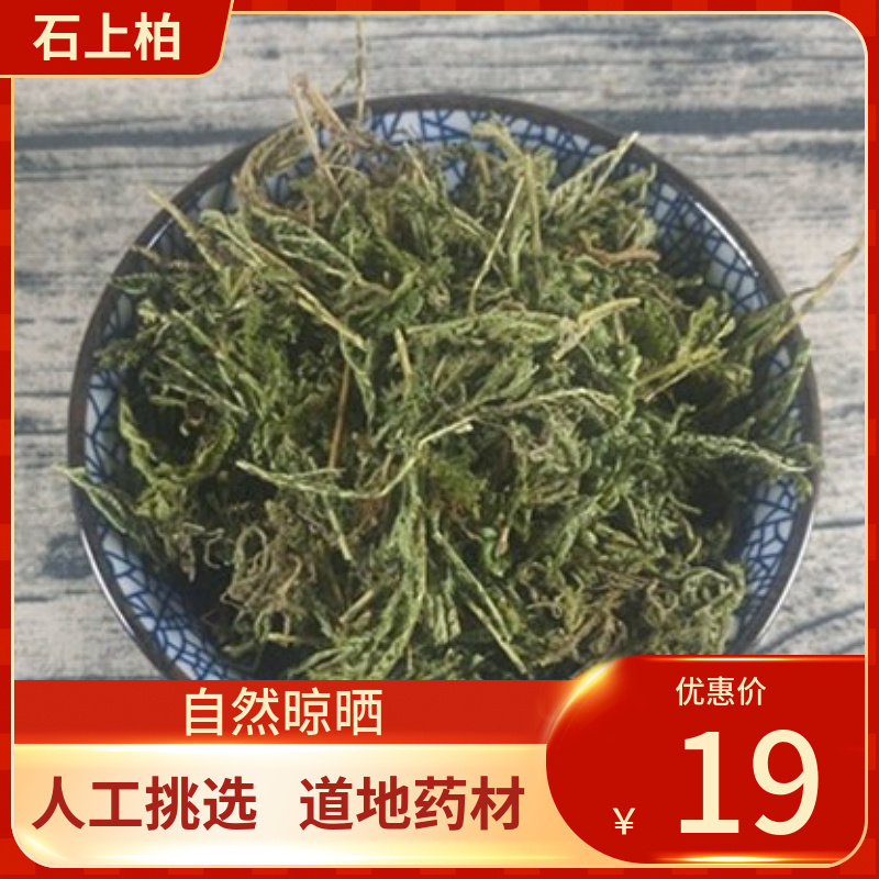 中药材 石上柏500g深绿卷柏地侧柏梭罗草地柏新鲜干货