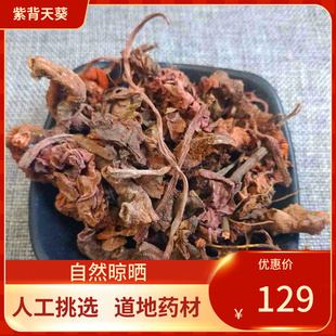中药材 挑选 红天葵500g  紫背天葵 散血子 红水葵 中草药