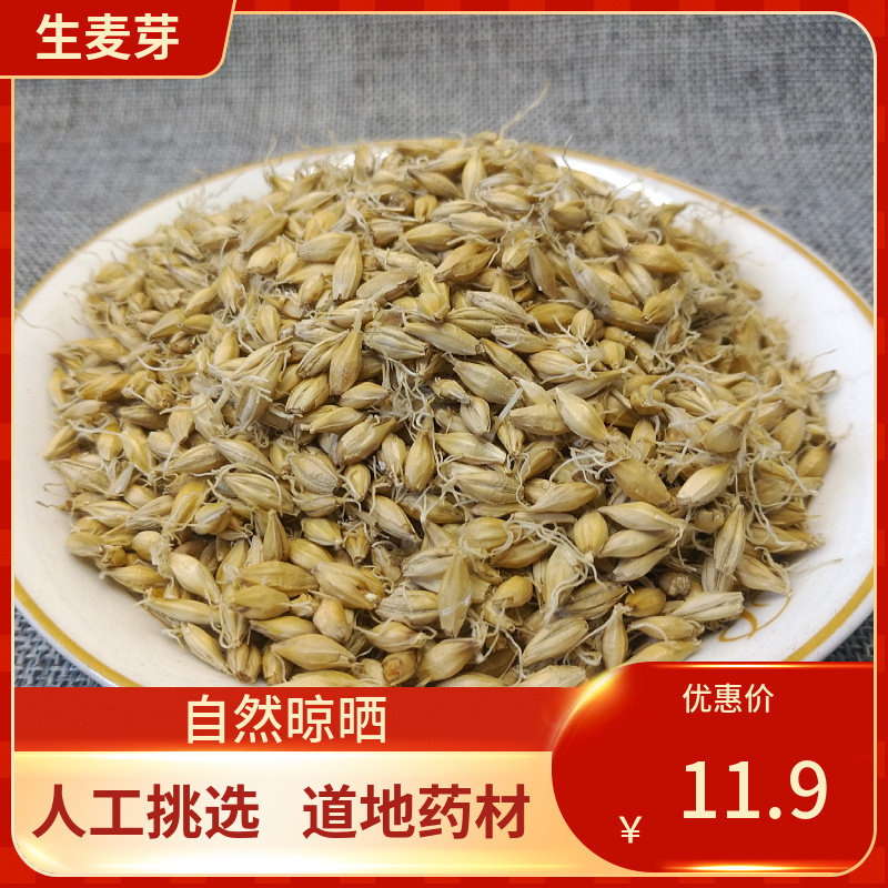中药材生麦芽 500g 大麦毛农家胚芽全芽整芽生大麦芽茶生麦牙