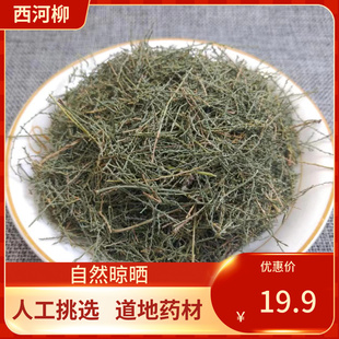 中药材  西河柳 500g  山川柳 三春柳 西湖柳 赤柽柳新鲜干货