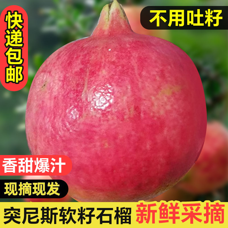 新鲜籽软可嚼清甜多汁，新鲜直达