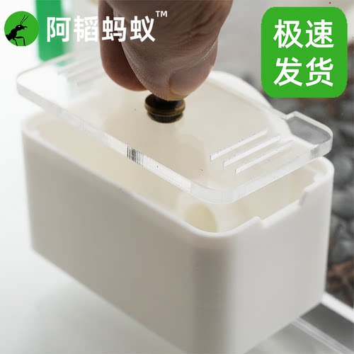 蚂蚁垃圾区蚂蚁外置垃圾区蚂蚁巢垃圾盒蚁巢外置垃圾区阿韬ants