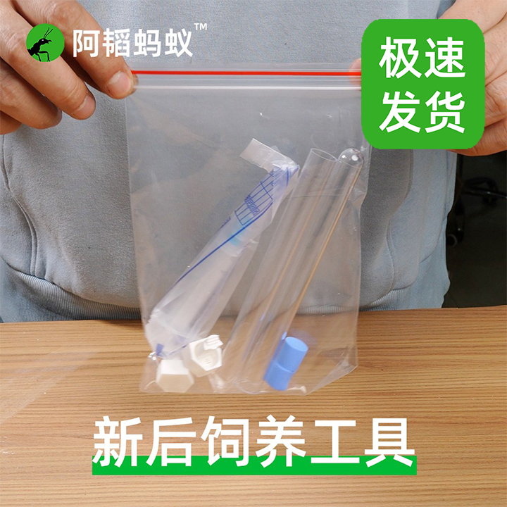 蚂蚁工具包新后饲养蚂蚁试管巢阿韬ants蚂蚁新手工具包,宠物/宠物食品及用品,爬宠清洁及日用品,淘宝优惠券,粉丝福利购,淘宝优惠卷