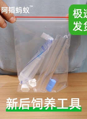 蚂蚁工具包新后饲养蚂蚁试管巢阿韬ants蚂蚁新手工具包