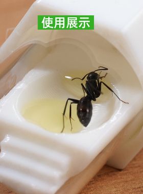 蚂蚁试管新后喂食堵头套装蚂蚁试管堵头阿韬ants阿涛ants