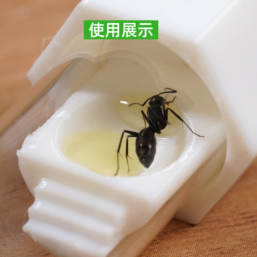 蚂蚁试管新后喂食堵头套装蚂蚁试管堵头阿韬ants阿涛ants