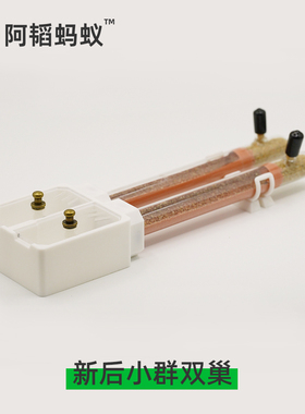 新后蚁巢迷你平面双巢新后巢蚂蚁试管巢阿韬ants蚁巢试管巢