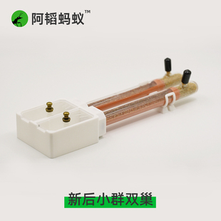 新后蚁巢迷你平面双巢新后巢蚂蚁试管巢阿韬ants蚁巢试管巢