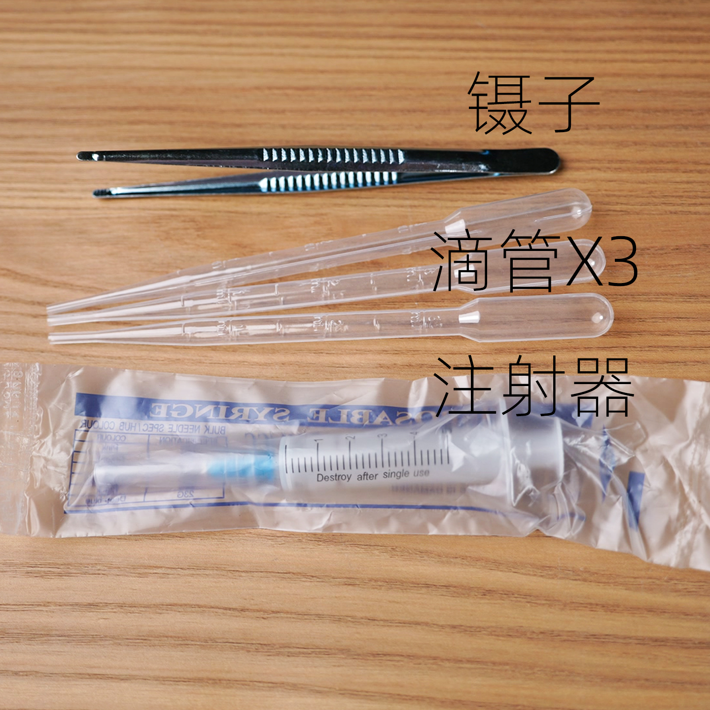 养蚁新手工具包套装