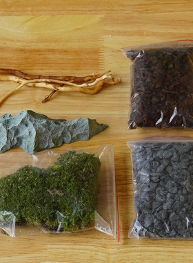 蚁巢造景蚁巢生态diy材料扩展蚂蚁造景蚁巢造景材料阿韬ants