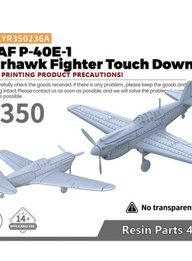 LYR350236A 1/350  美国 P-40E-1 战鹰 战斗机 降落模式  4pcs