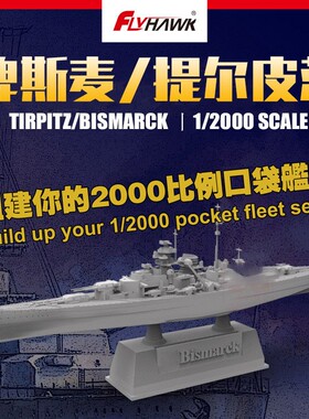 丹东网购 鹰翔 FH9002 1/2000 德国海军提尔皮茨号 塑料拼装模型