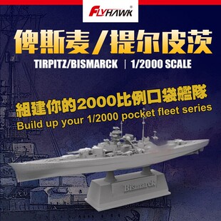 丹东网购 鹰翔 FH9002 1/2000 德国海军提尔皮茨号 塑料拼装模型