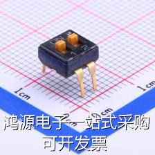 SSGM120100 拨码开关 SSGM120100 现货 现货