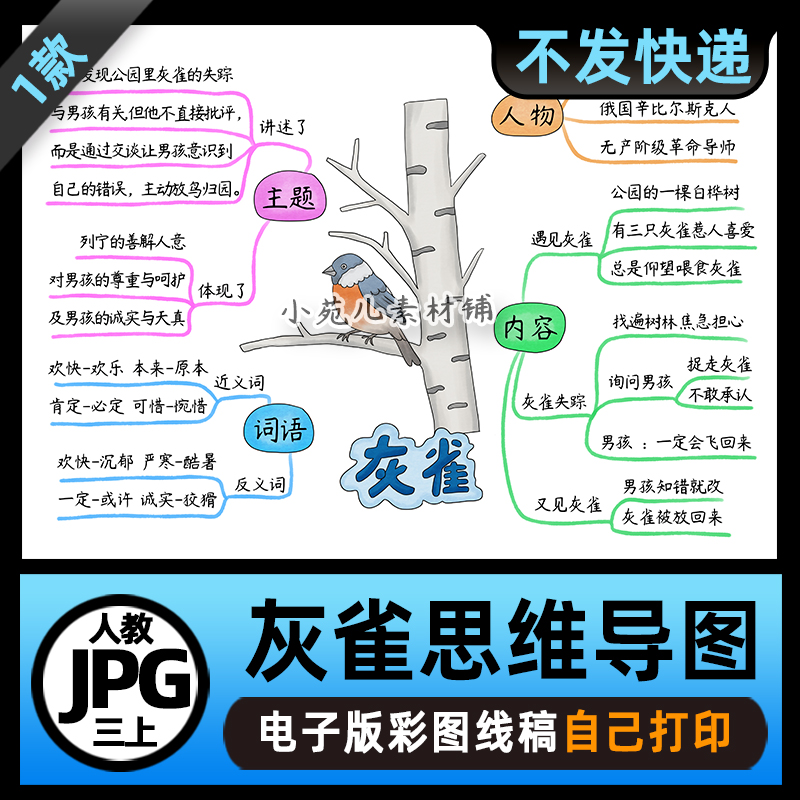 B853三年级语文上册灰雀思维导图电子版可打印线稿图片素材
