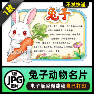1147【电子版】小白兔子动物名片动物卡片动物观察手抄报线稿