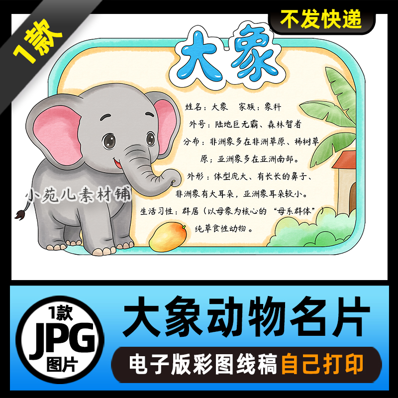 1148【电子版】大象动物名片动物卡片动物观察手抄报线稿