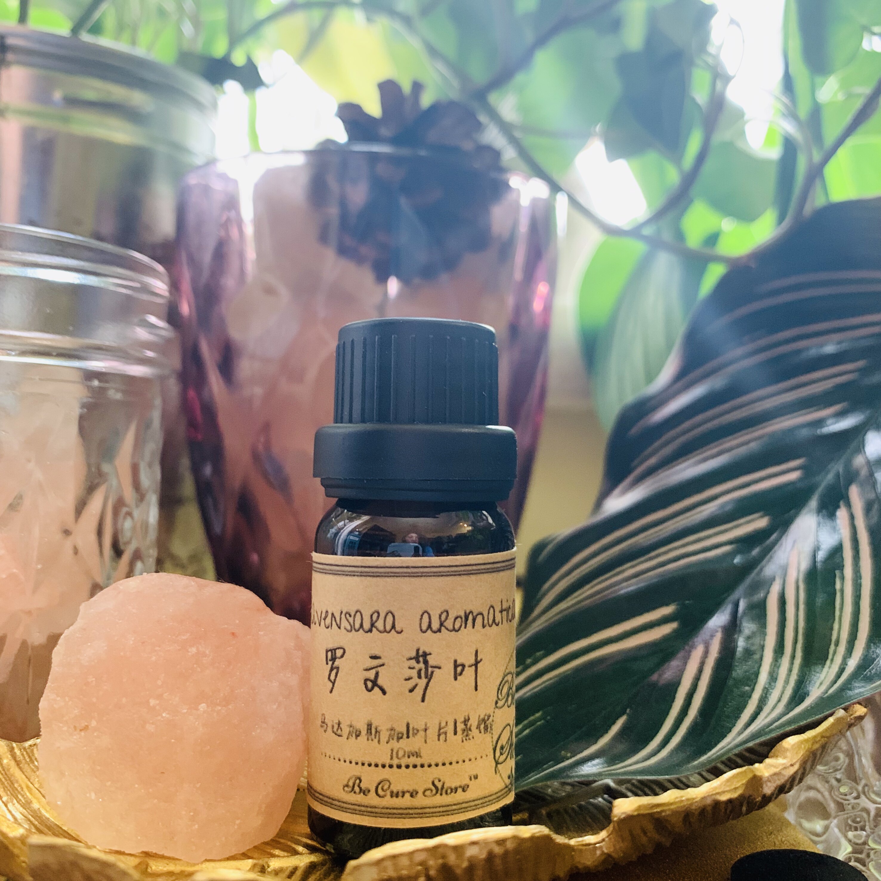 芳疗级罗纹沙叶精油马达加斯加产