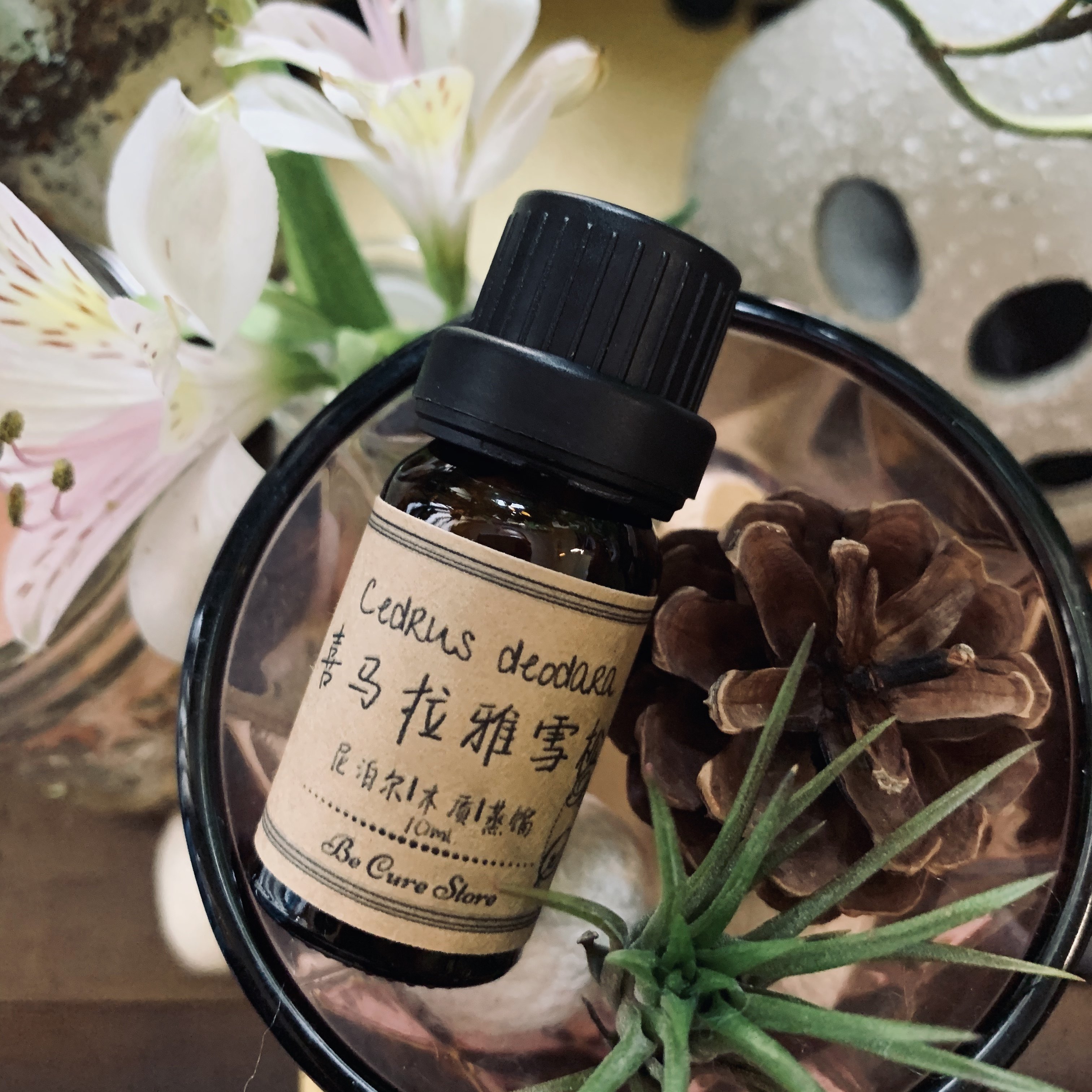 芳疗级喜马拉雅雪松精油cedrus deodara 放松 集中精神 帮助呼吸
