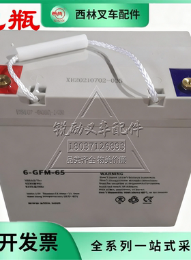 西林叉车电池6-GFM-65铅酸电池  CBD5W-E蓄电池叉车105A电瓶