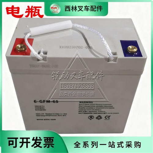 西林叉车电池6-GFM-65铅酸电池