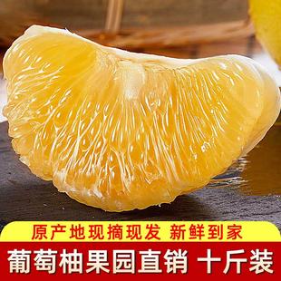 新鲜水果玉环葡萄柚白肉非红心楚门文旦柚子琯溪蜜柚胜西柚胡柚