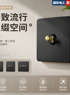 TEP国际电工86型黑色复古工业风黄铜拨杆开关面板家用墙壁5孔插座
