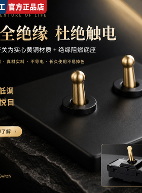 国际电工86型酒店民宿黑色复古美式工业风格黄铜拨杆开关插座面板