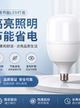 E27螺口 LED 灯泡家用节能超亮护眼客厅卧室走廊玄关通用照明单灯