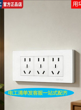二十孔墙壁国际电工专卖店