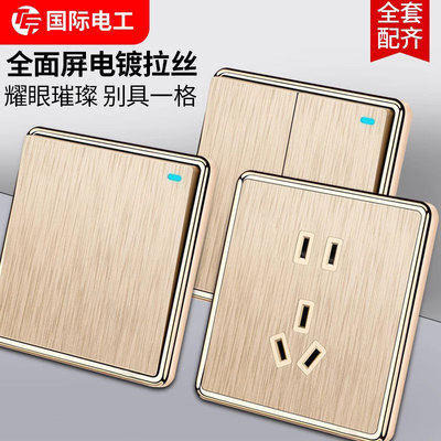 TEP国际电工电镀拉丝金开关插座