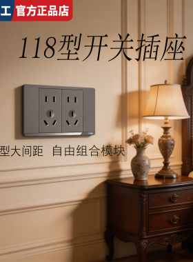118 型二开五孔十五孔插座 暗装家用荧光指示灯灰色烤漆自由组合
