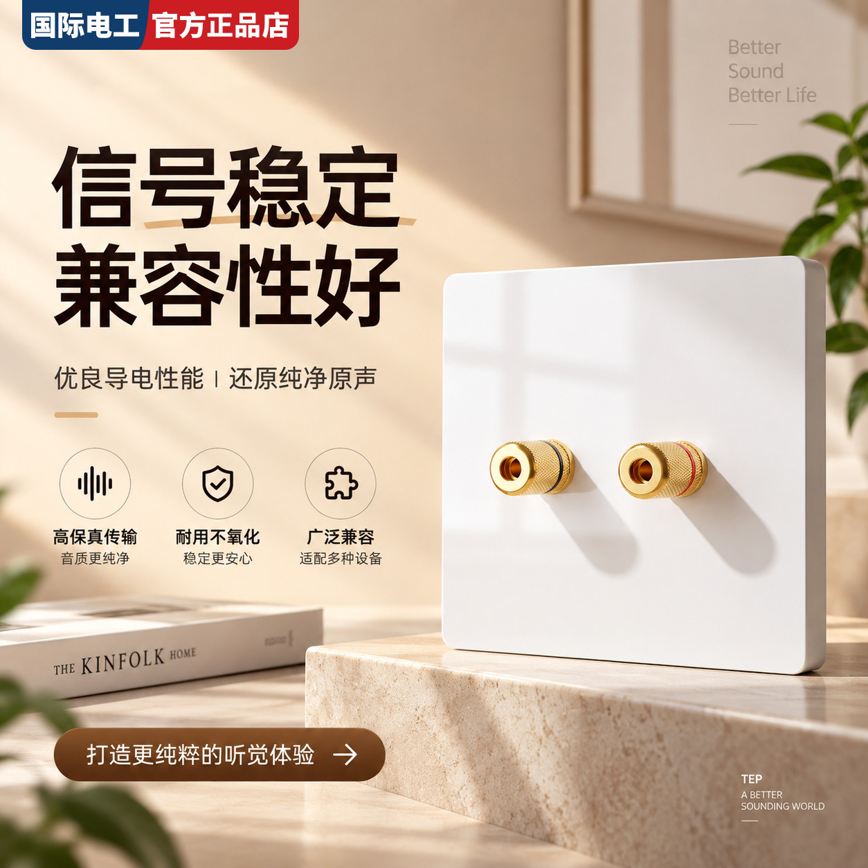 雅白大板音响插座面板家用轻奢客厅背景音乐喇叭线香蕉插头面板