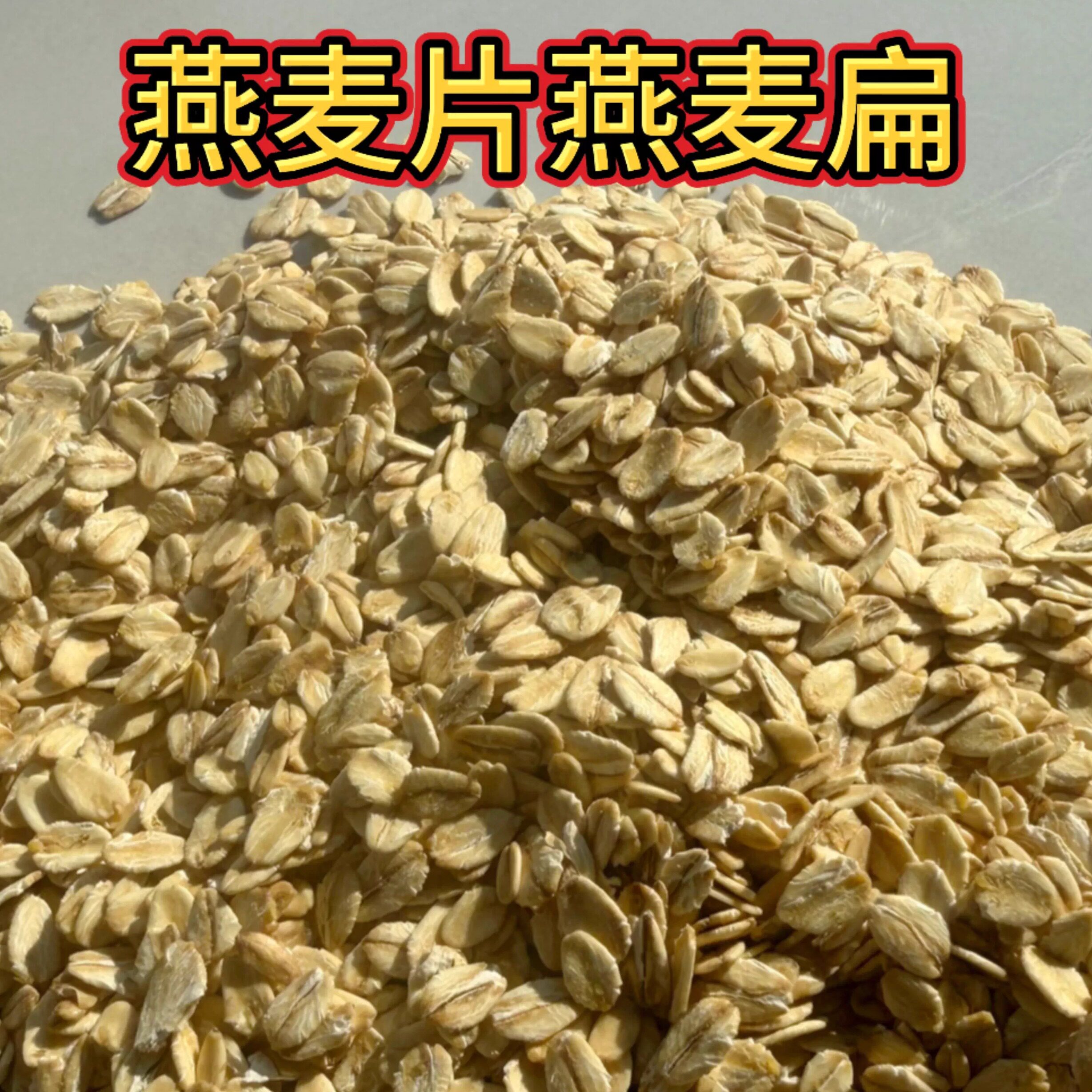 燕麦片 蛋白质氨基酸 促消化龙猫松鼠仓鼠鸟粮 中型鹦鹉鸟粮