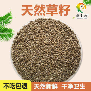 鸟食 水稗子 草籽 芙蓉鸟 鹦鹉 珍珠鸟 文鸟/500g