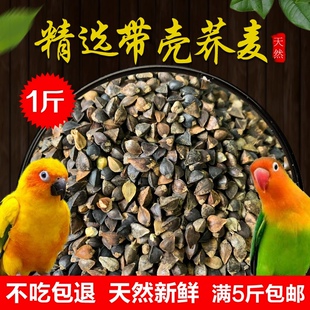 荞麦/带壳荞麦/信鸽观赏鸽 鹦鹉鸟食仓鼠 龙猫粮食 500g五斤包邮